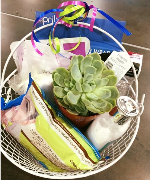 close up of a basket with plants